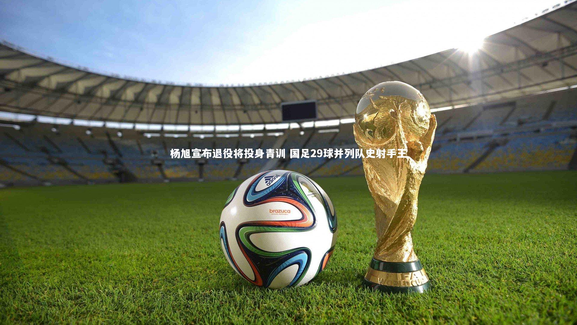 ng体育平台-杨旭宣布退役将投身青训 国足29球并列队史射手王